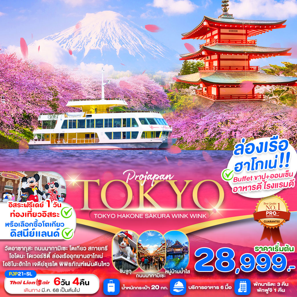 ทัวร์ญี่ปุ่น TOKYO HAKONE SAKURA WINK WINK FREE DAY 6วัน 4คืน (SL)